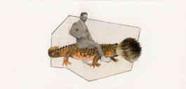 Imanol Buisan