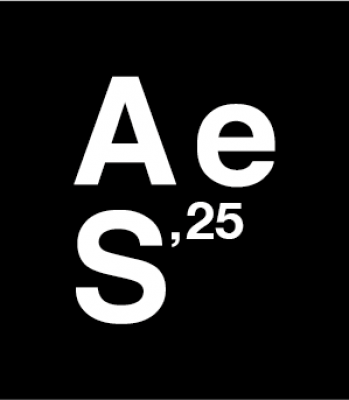 Art Emergent Sabadell 2025 